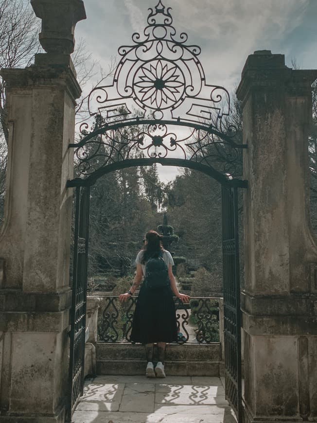 Lugar Jardim Botânico da Universidade de Coimbra