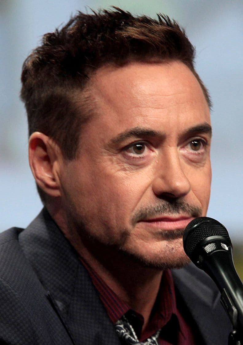 Fashion Robert Downey Jr. – Wikipédia, a enciclopédia livre