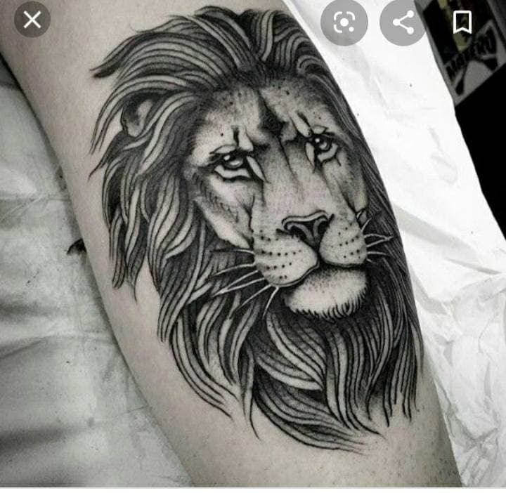 Moda Leão🦁