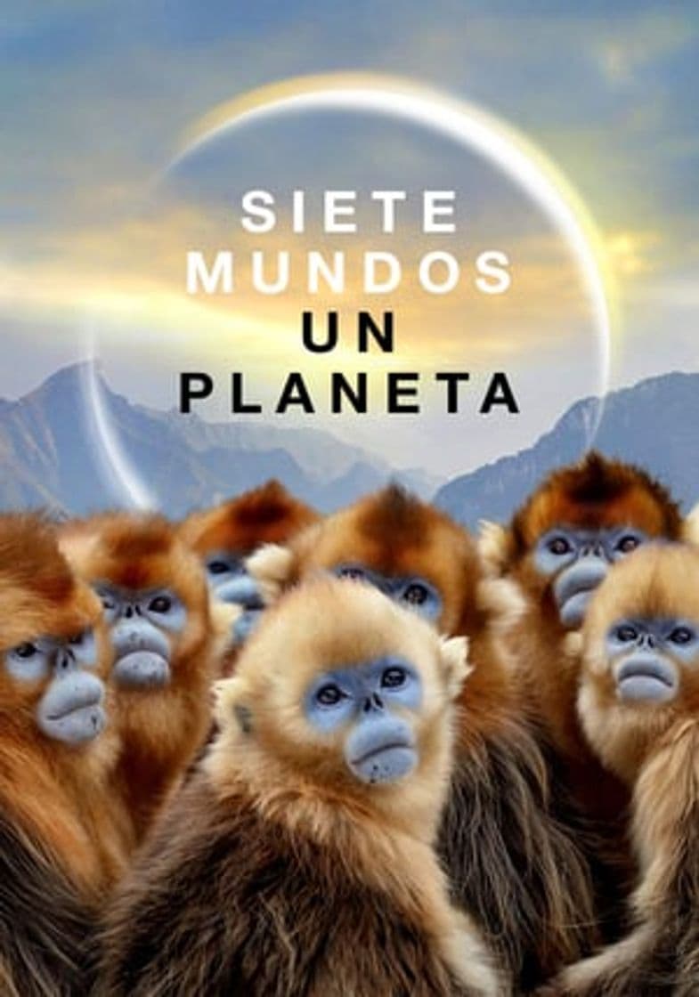 Serie Seven Worlds, One Planet