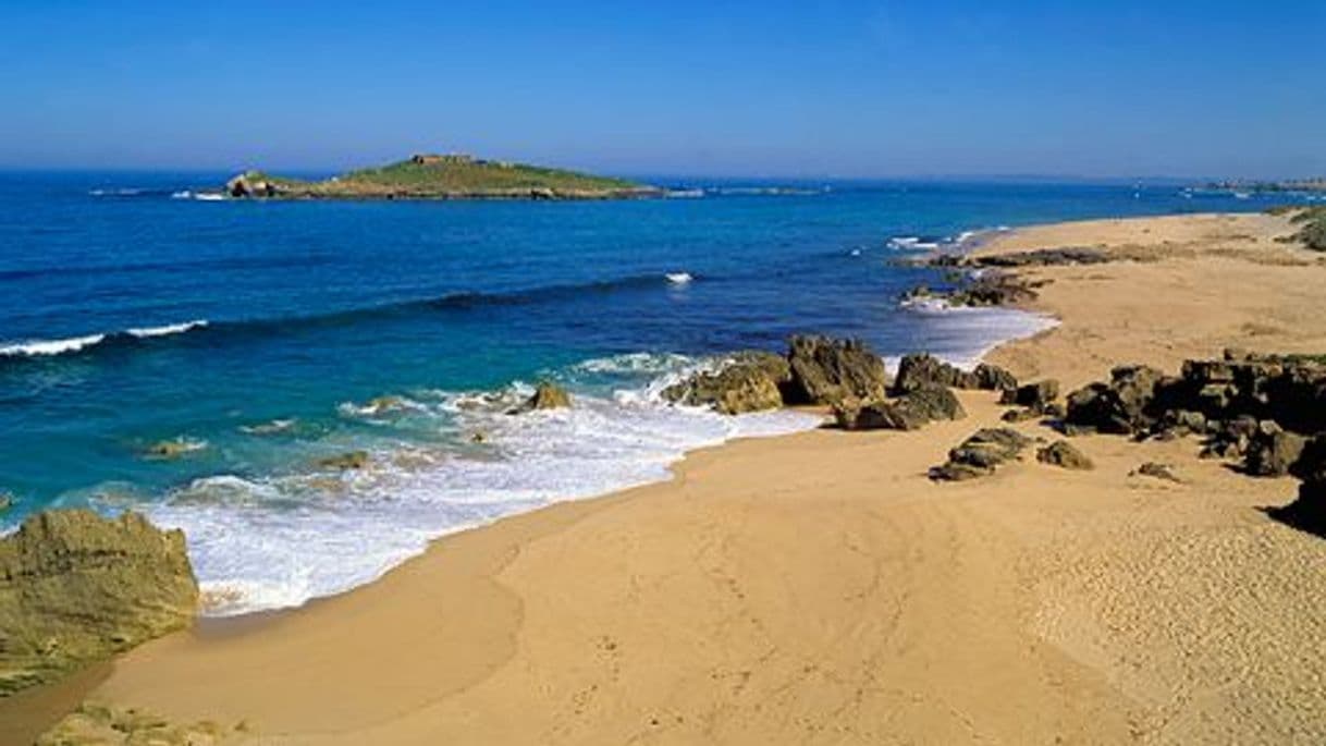 Place Praia da Ilha do Pessegueiro