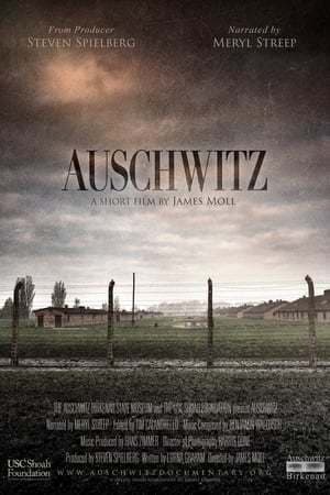 Película Auschwitz