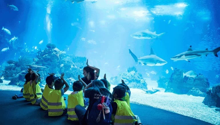 Lugar Oceanario de Lisboa