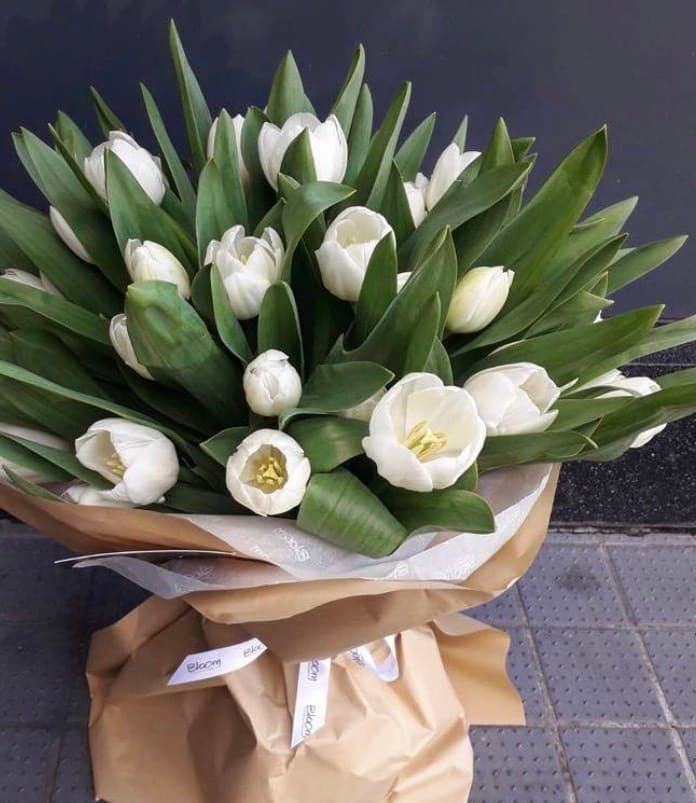 Product Tulips 