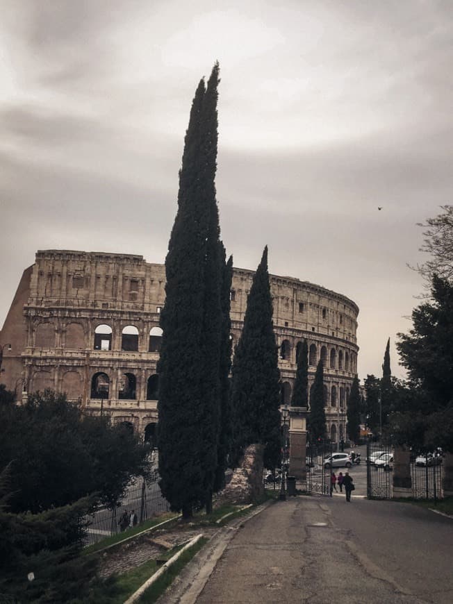 Lugar Coliseo de Roma