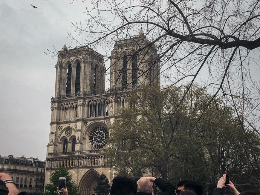 Place Notre Dame