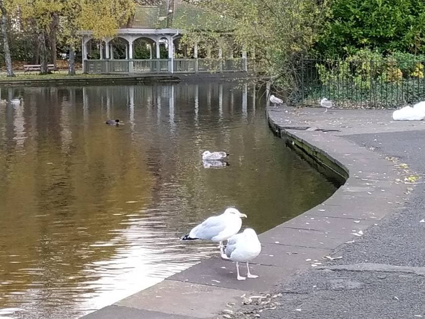 Lugar St. Stephen's Green