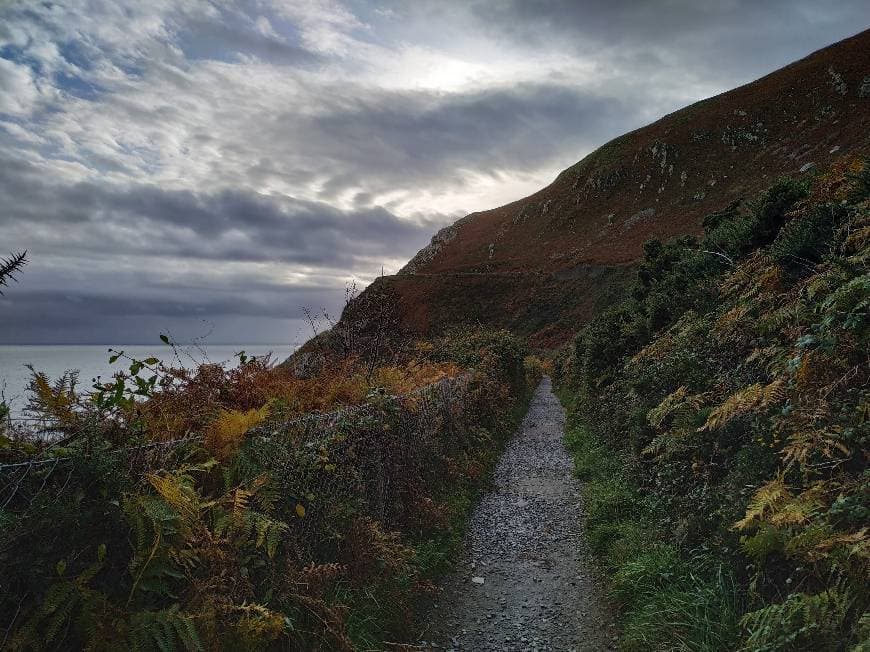 Restaurantes Bray Head