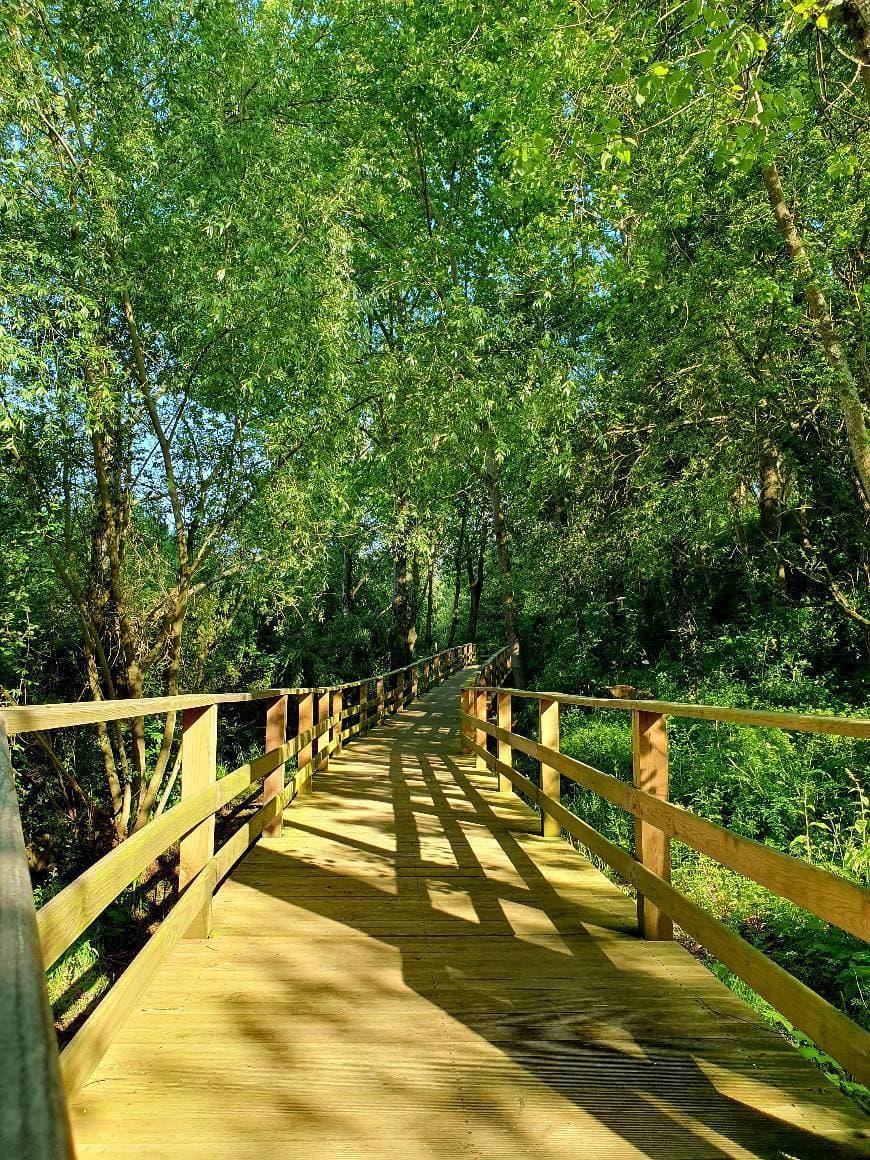 Lugar Passadiços da Ribeira do Espírito Santo