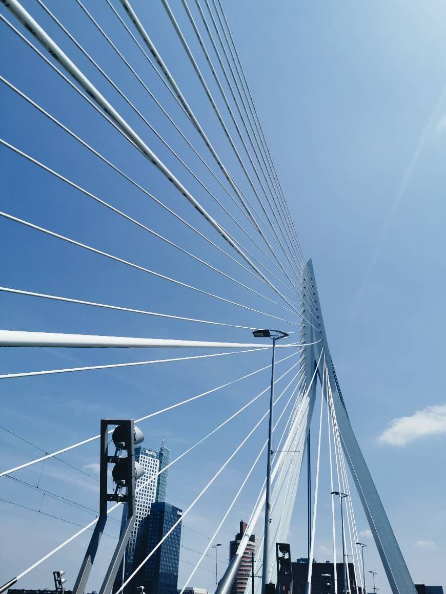 Lugar Erasmusbrug