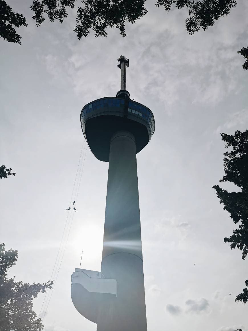 Lugar Euromast