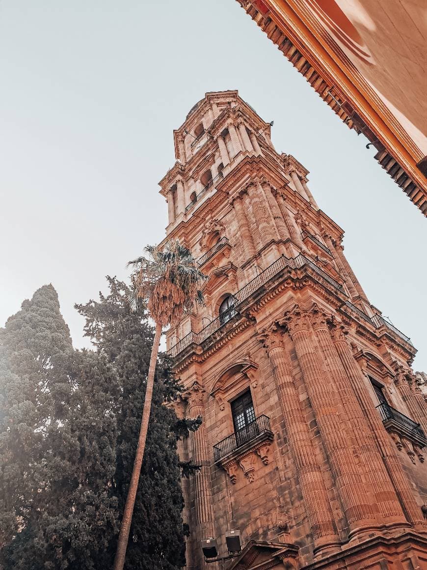 Place Catedral Malaga