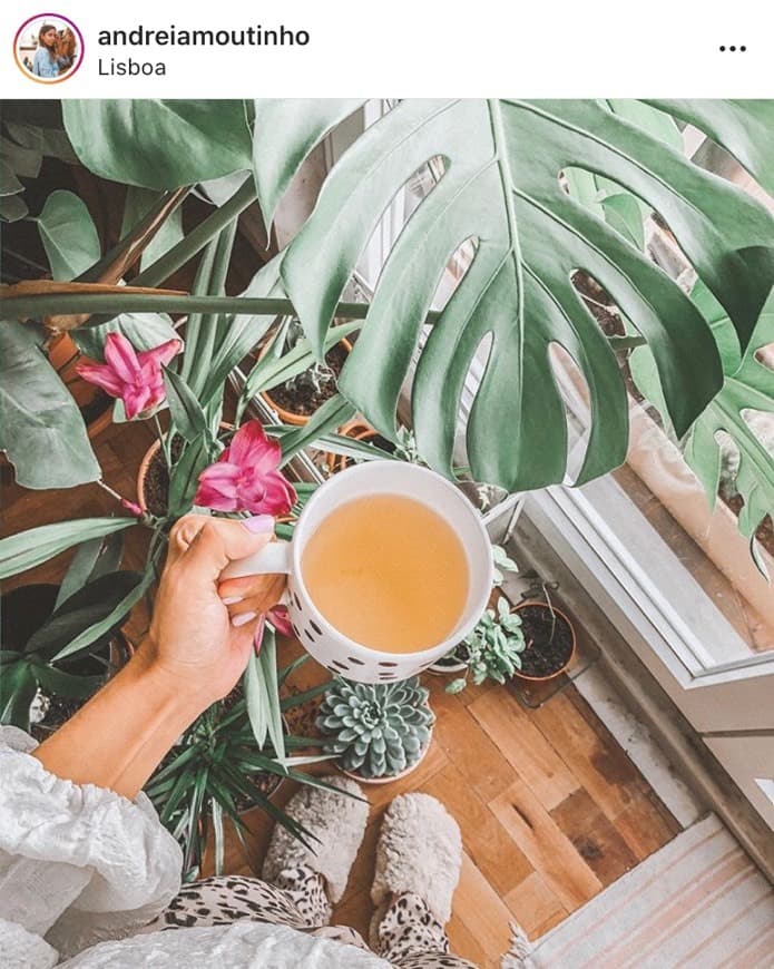 Fashion Andréia Moutinho - plant mamma 