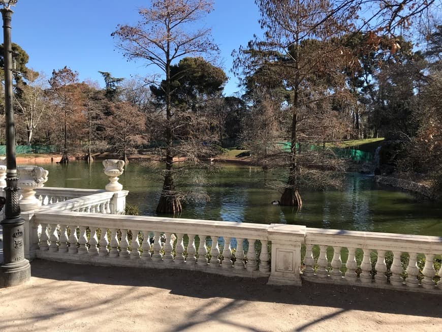 Place Palacio de Cristal