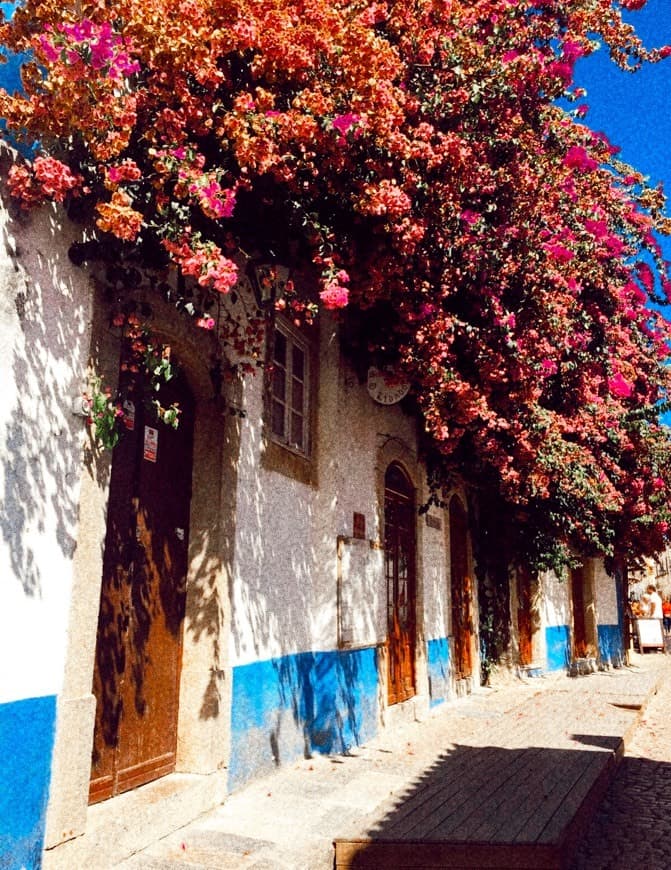 Place Óbidos💜