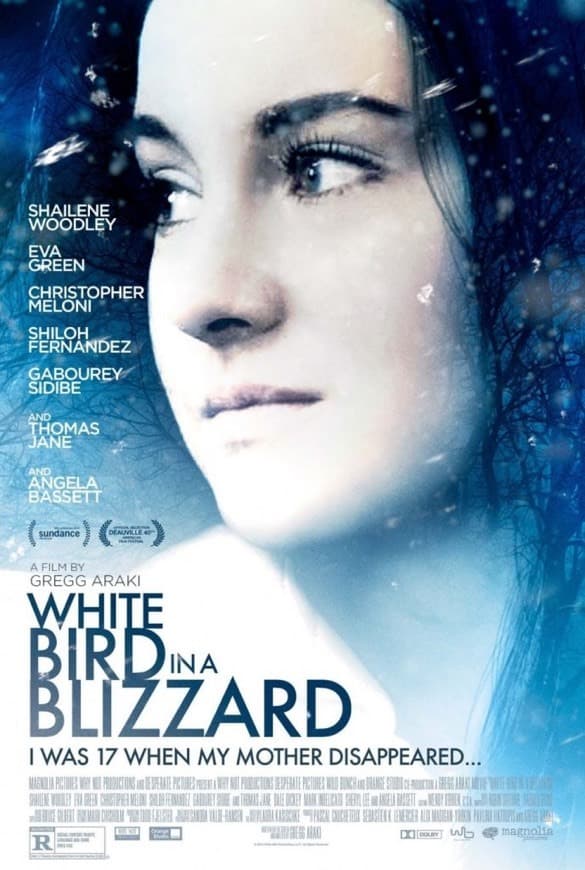 Movie White Bird in a Blizzard