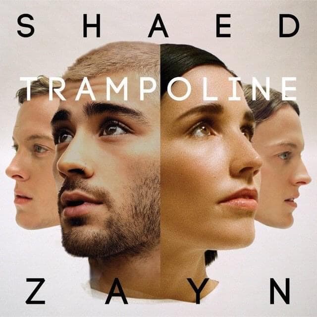 Music SHAED x ZAYN - Trampoline (Official Lyric Video) - YouTube