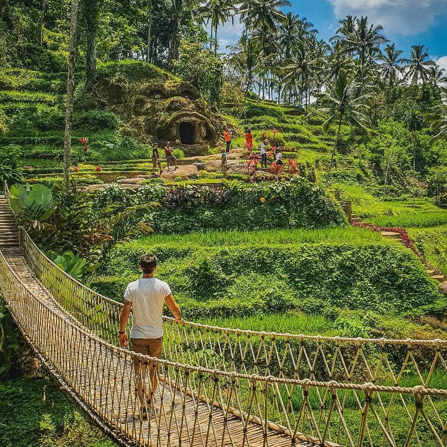 Lugar Ubud