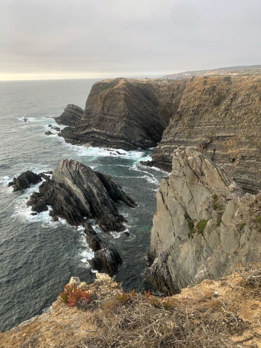 Moda Cabo sardão 