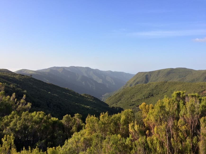 Place Levada do Alecrim