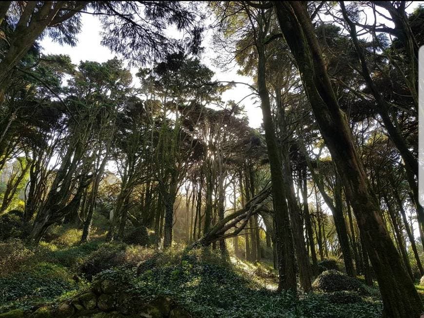 Place Sintra Mountains