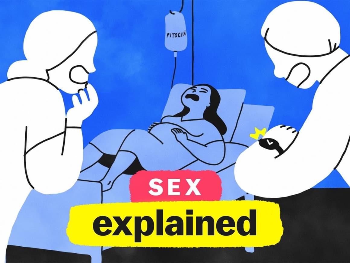 Serie Sex, Explained