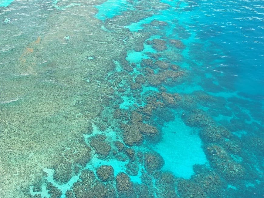 Lugar Great Barrier Reef