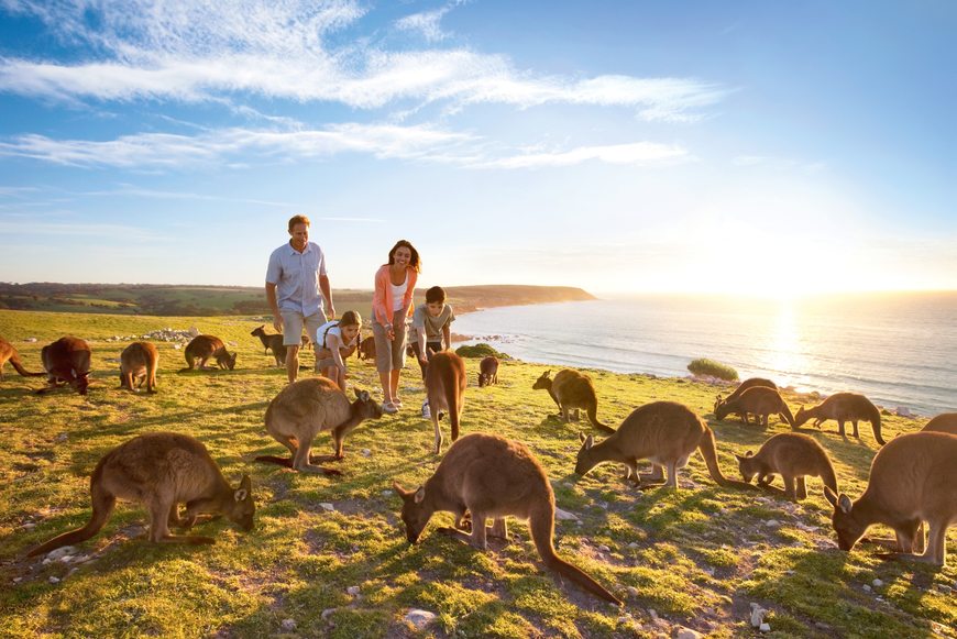 Lugar Kangaroo Island