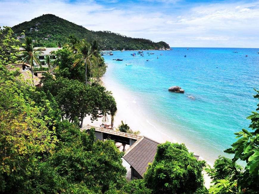 Place Koh Tao