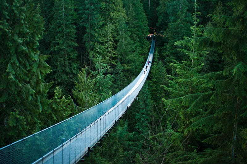 Lugar Capilano Suspension Bridge