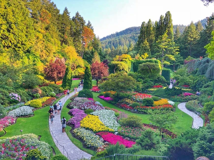 Lugar Butchart Gardens