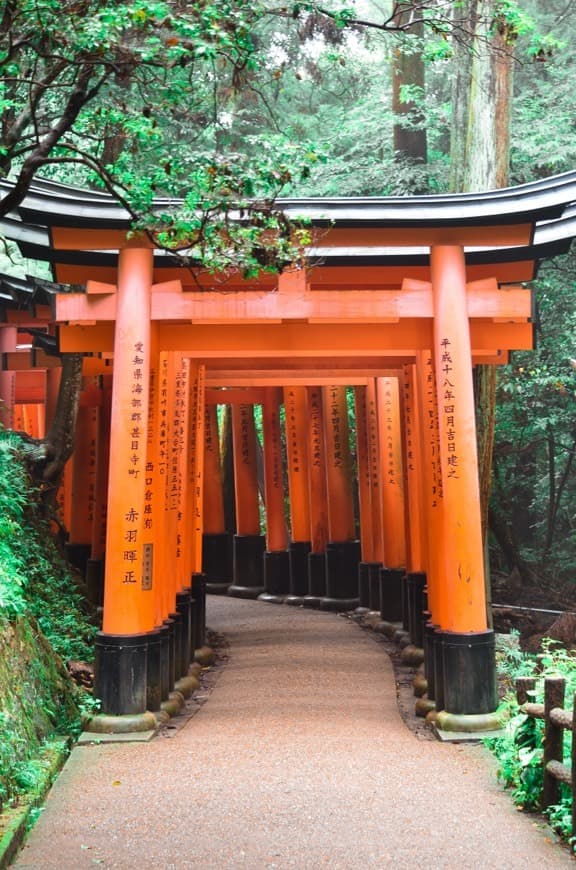 Place Fushimi Inari Taisha Shrine Senbontorii