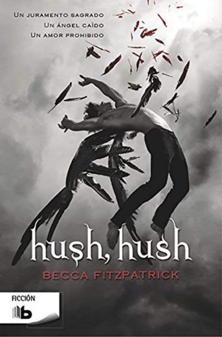 Book Hush, Hush