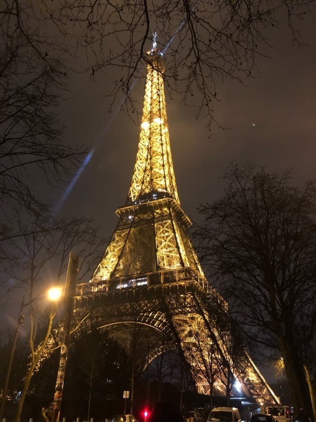 Fashion Torre Eiffel (vista de noite)