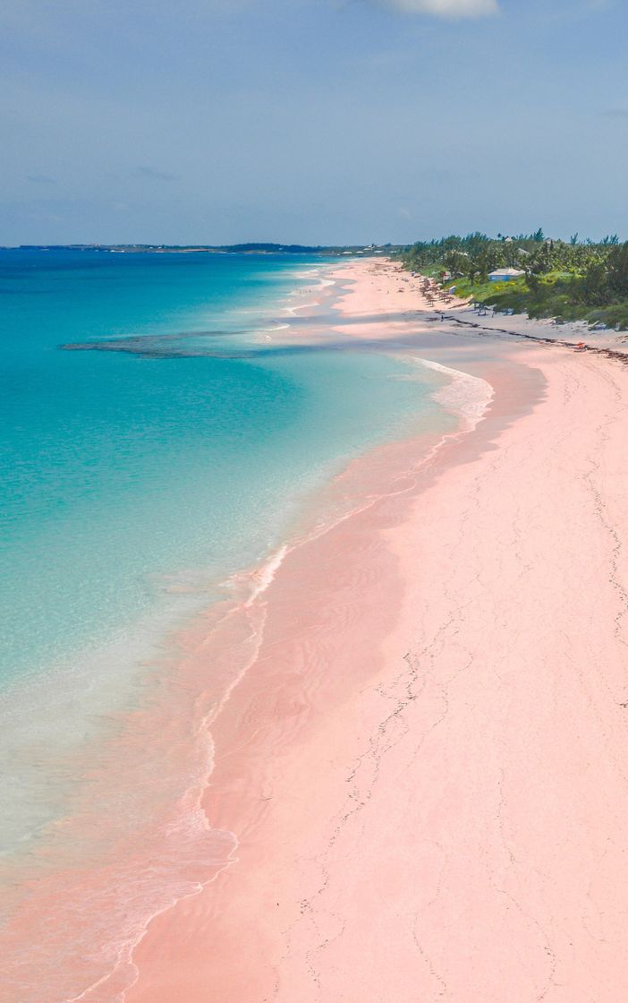 Place Pink Sands Beach