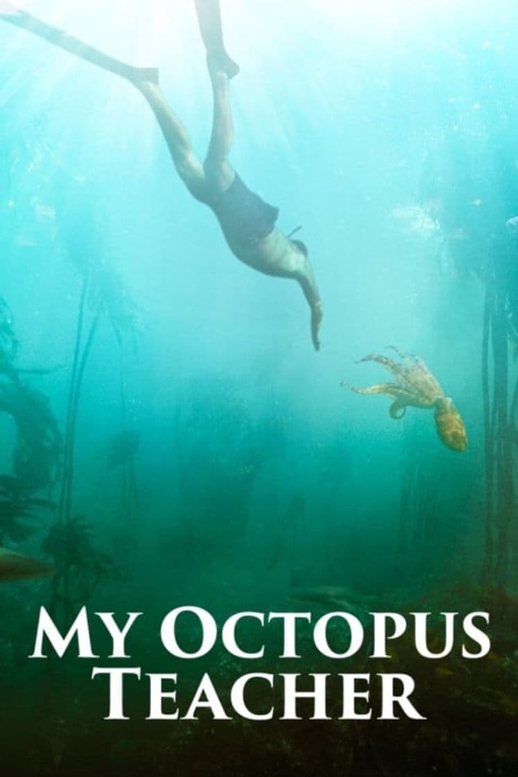 Movie My Octopus Teacher