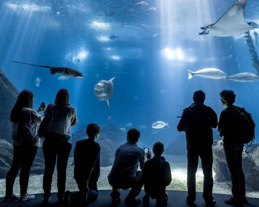 Place Oceanário no Parque das Nações

