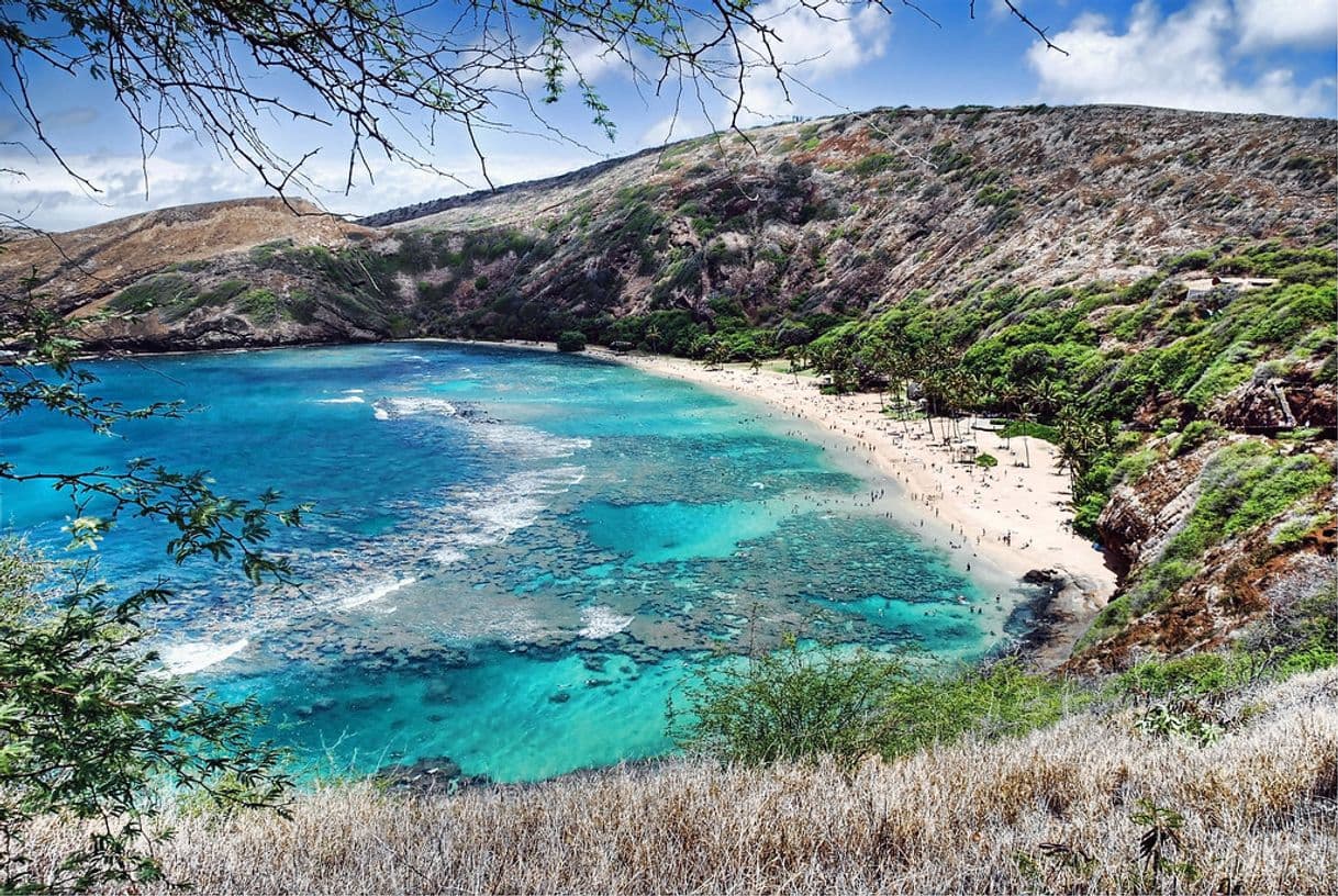 Lugar Hanauma Bay