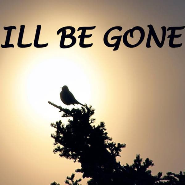 Canción I'll Be Gone - Originally performed by Avicii