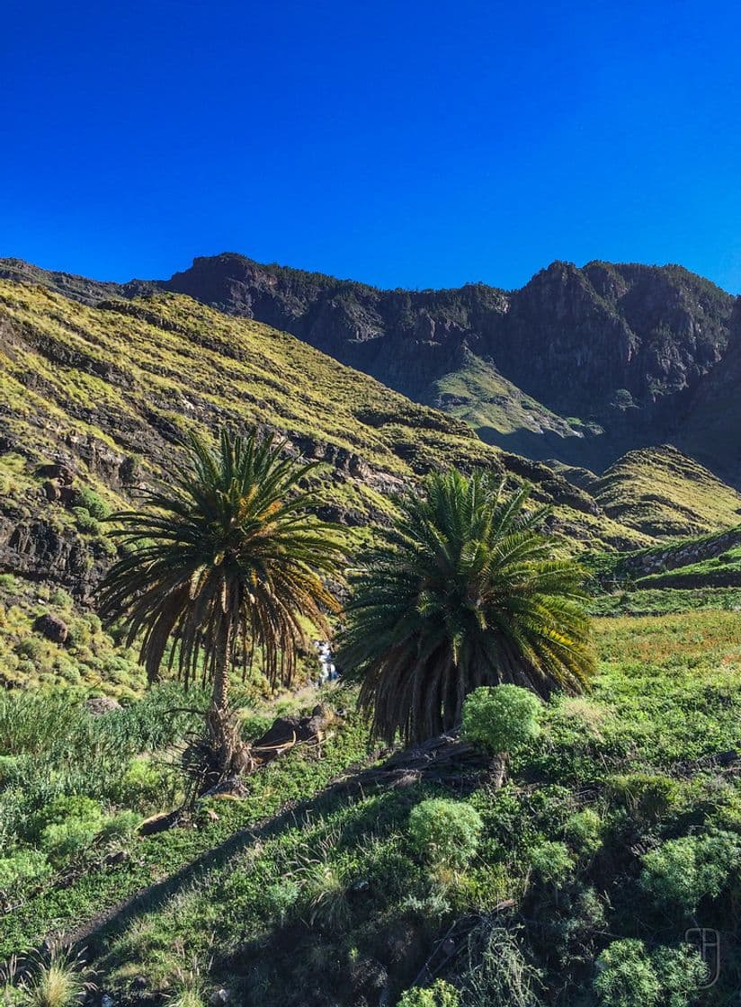 Lugar Barranco De Guayedra