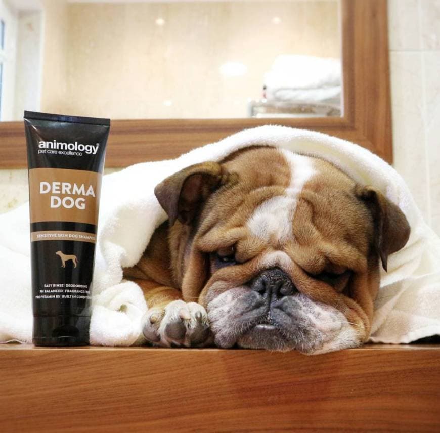 Producto Shampoo Animology Derma Dog