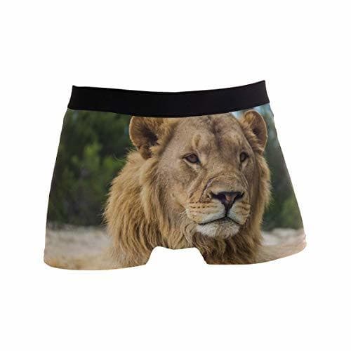 Place Animal Lion Nature Boxer Briefs for Men Boy Youth Soft Comfort Underwear