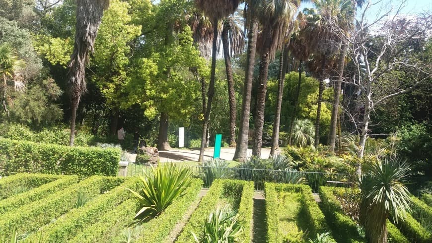 Lugar Jardín Botánico de la Universidad de Lisboa