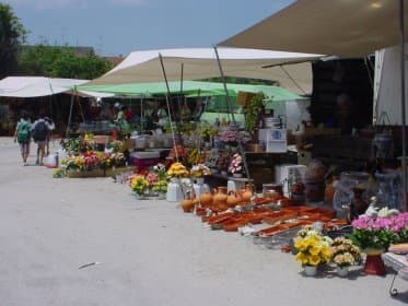 Lugar Feira Semanal de Viseu