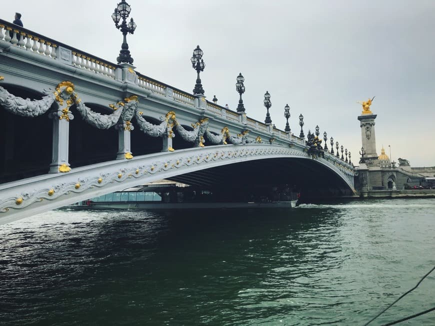 Lugar Pont Alexandre III