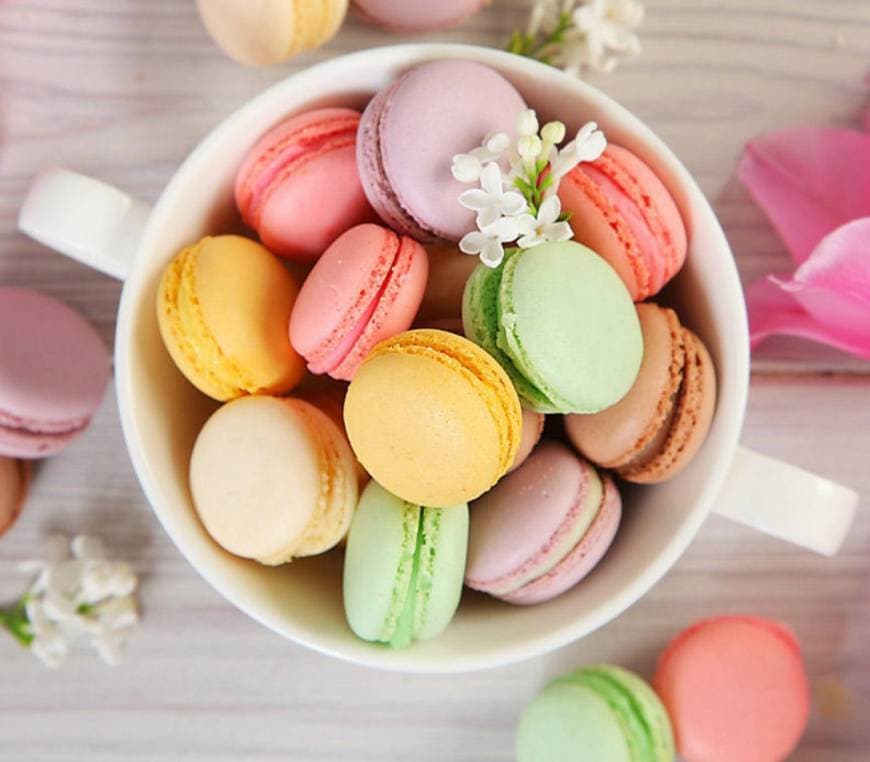 Fashion Macaron