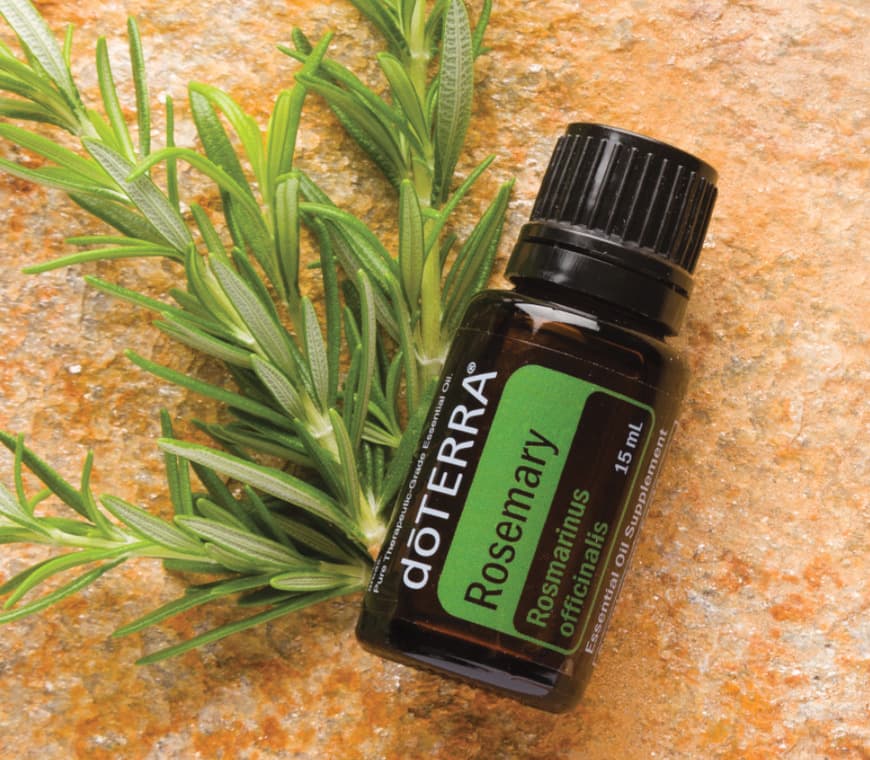 Belleza Doterra Rosemary Essential Oil 15ml by doTERRA