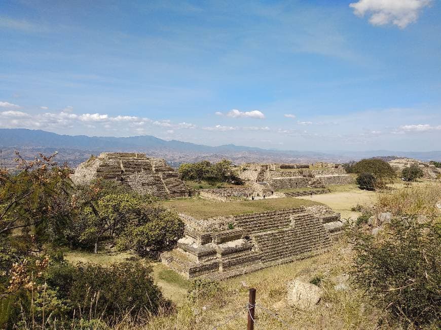 Place Monte Albán