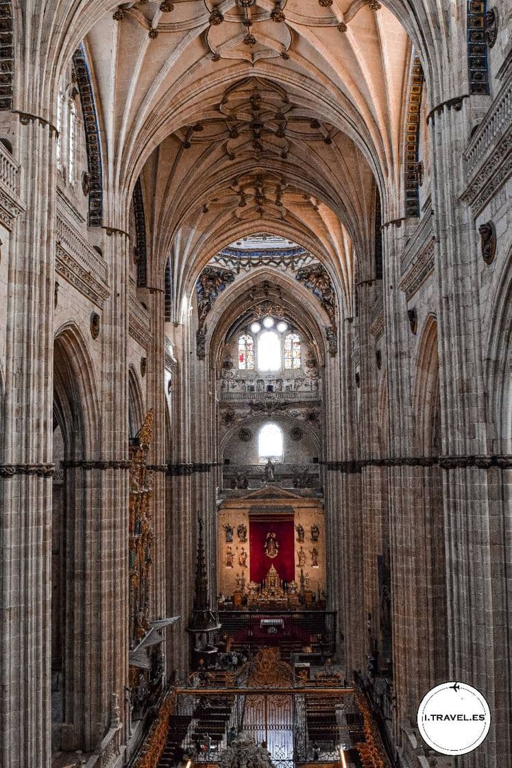 Lugar Catedral de Salamanca