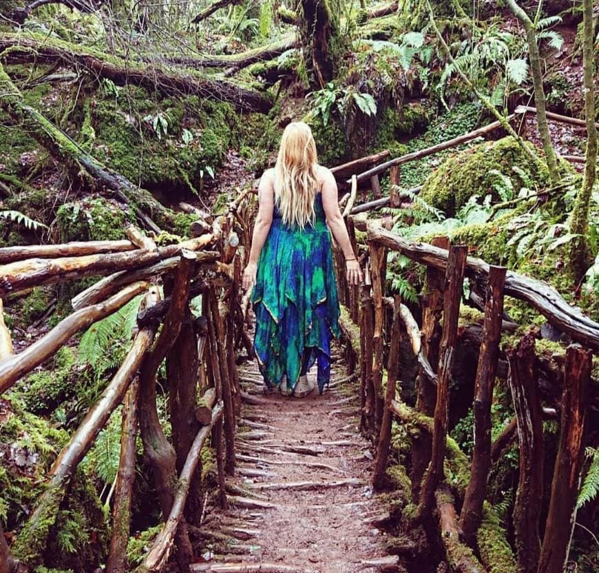 Lugar Puzzlewood